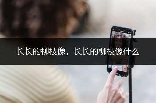 长长的柳枝像，长长的柳枝像什么